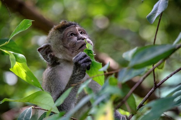 Bersyukur dan Ucapan Terima Kasih Itu Wajib Ga Sih mkjr_