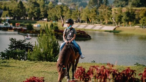 Ini adalah tempat wisata di Lembang yang menawarkan pengalaman berkuda, pengalaman yang mungkin enggak bisa kamu dapatkan setiap hari. Kamu bisa mengenal kuda, cara merawat kuda, hingga belajar mengendarai kuda di sana.