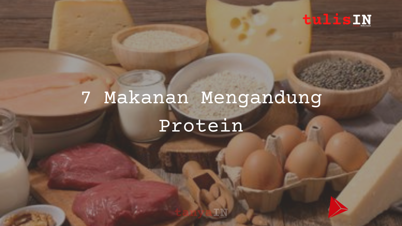 7 Makanan Mengandung Protein