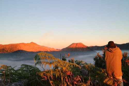 5 Tempat Melihat Sunrise di Bromo