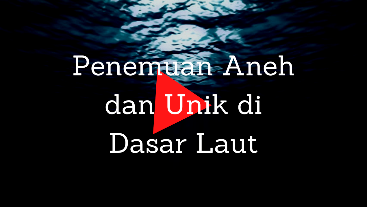 Penemuan Aneh dan Unik di Dasar Laut