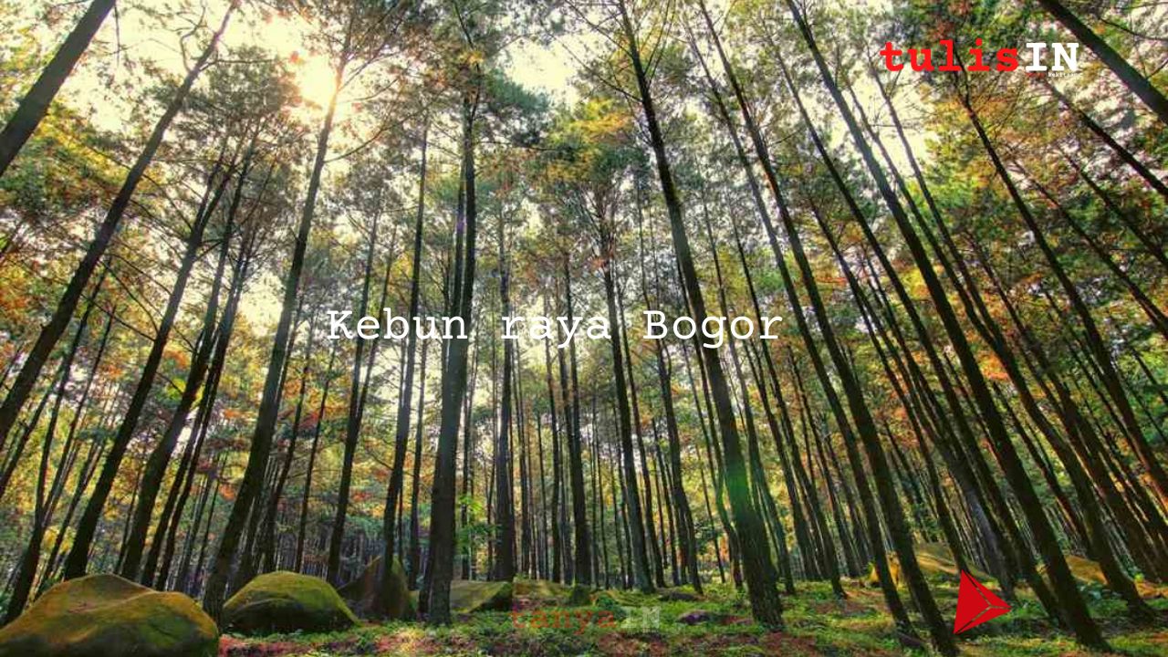 Kebun Raya Bogor