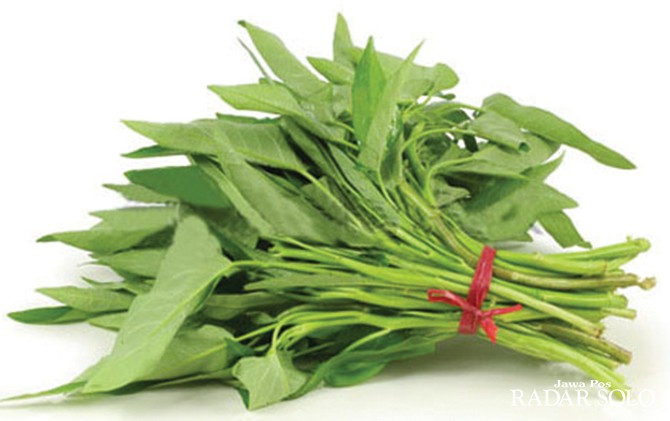 Manfaat Sayur Kangkung Untuk Kesehatan