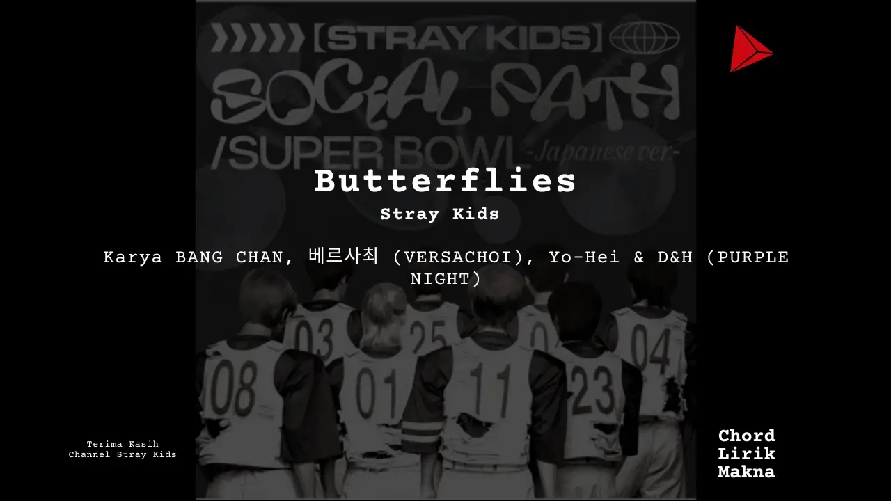 Chord Butterflies · Stray Kids